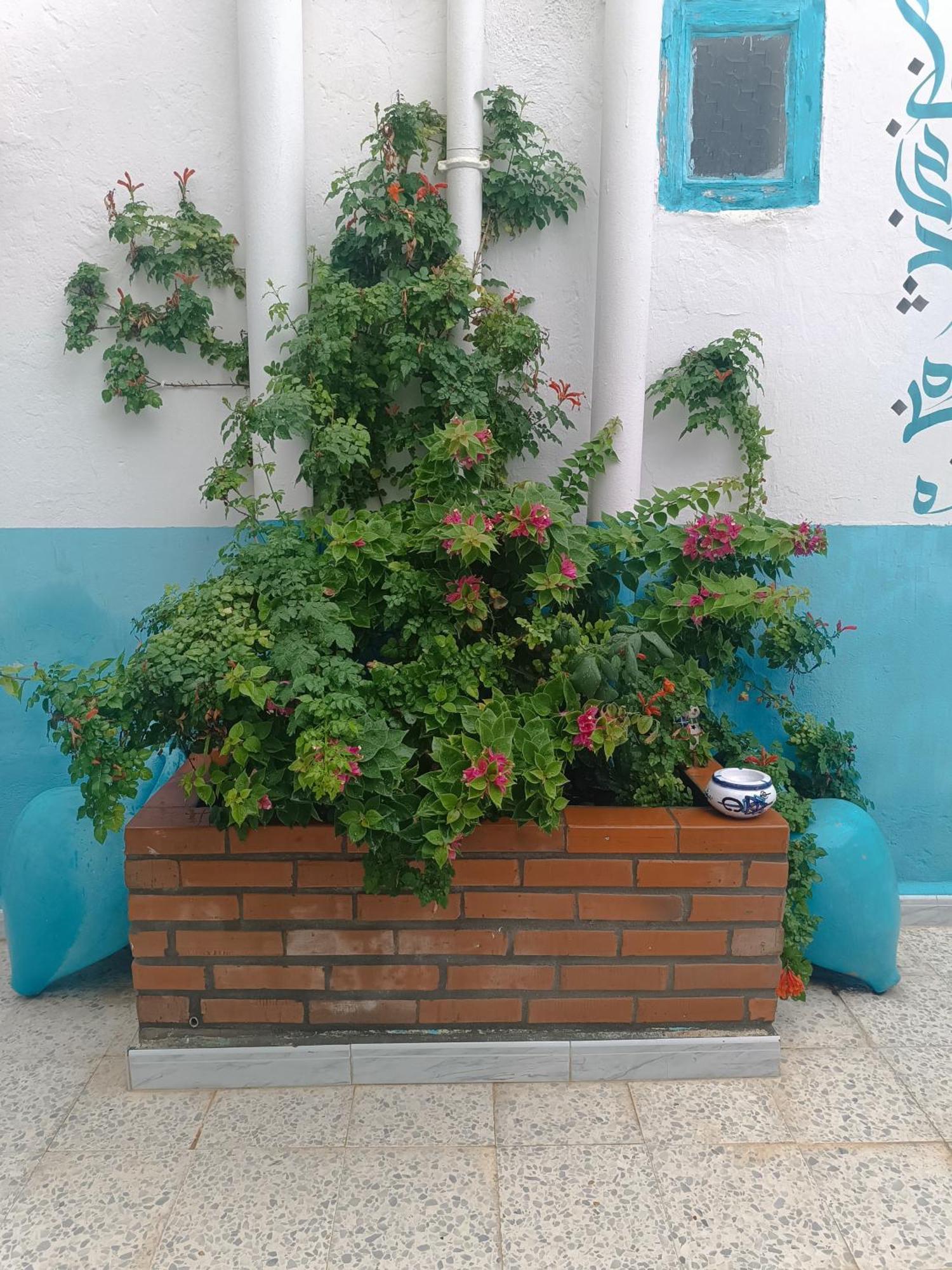 Dar Hkaiem Ξενοδοχείο Hammam Sousse Εξωτερικό φωτογραφία